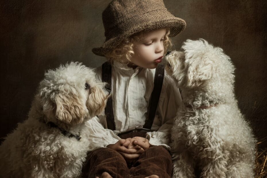 Le bichon maltais est-il un bon chien de famille