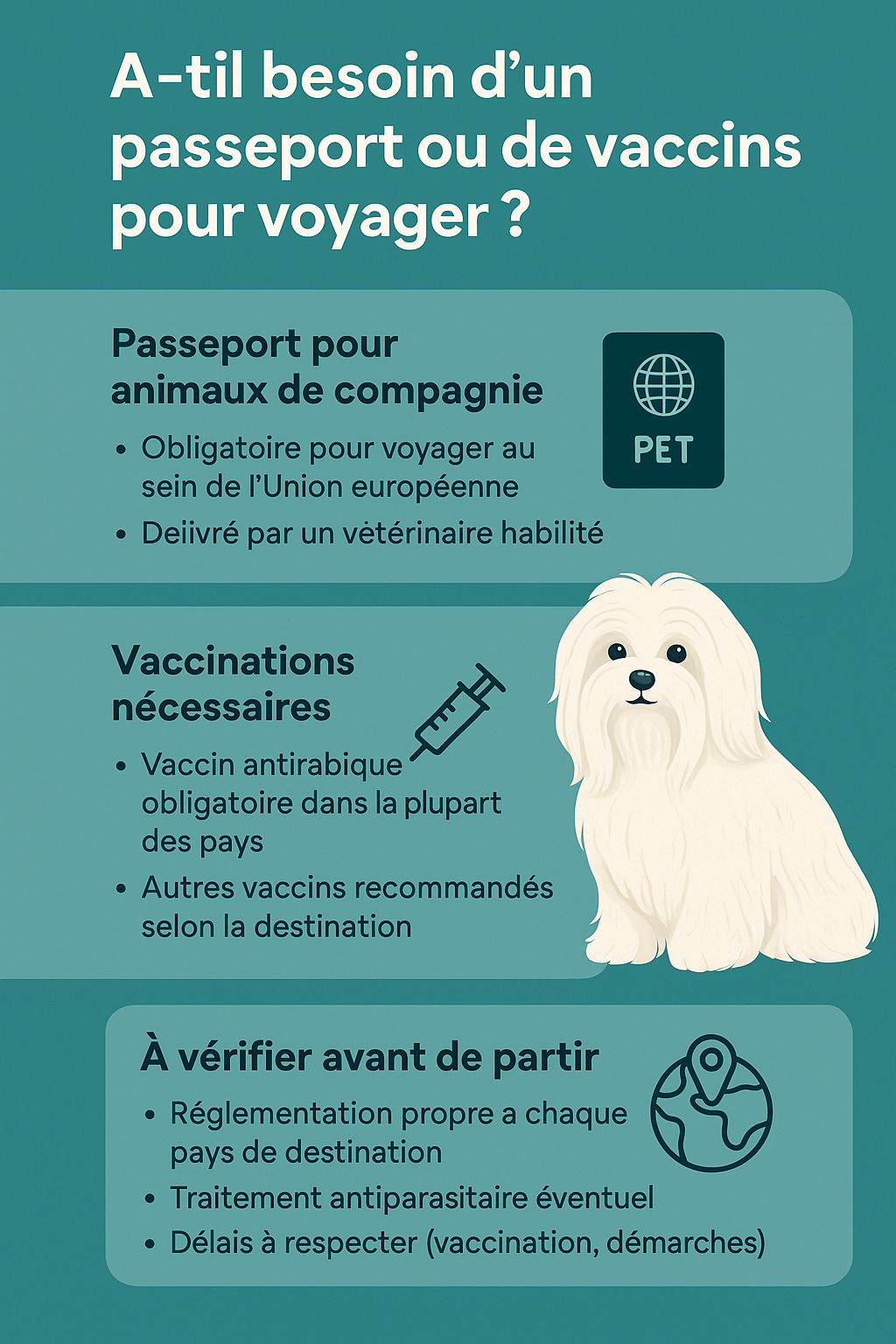 infographie sur le passeport pour le bichon maltais