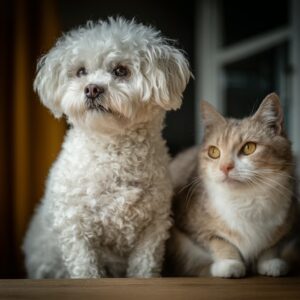 bichon maltais avec d'autres animaux 
