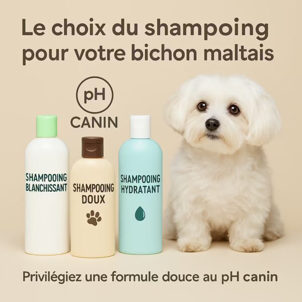 Bichon maltais en studio à côté de trois flacons : shampooing doux, hydratant et blanchissant, mention pH canin