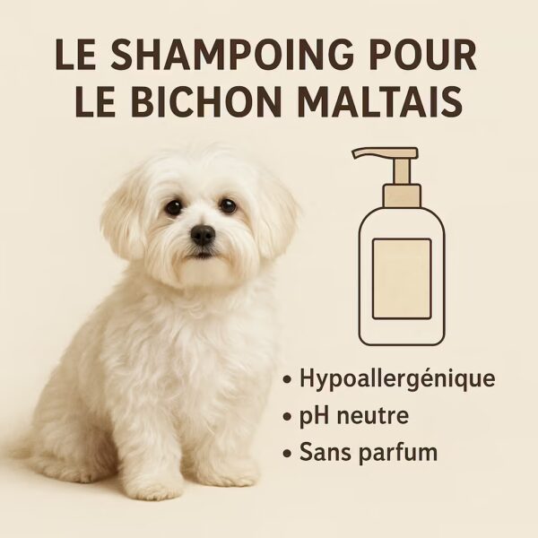 shampoing pour votre bichon maltais