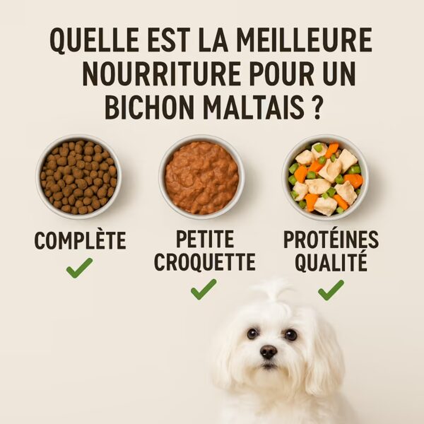 Bichon maltais en studio devant trois bols illustrant croquettes complètes, pâtée et ration ménagère, avec checklists qualité